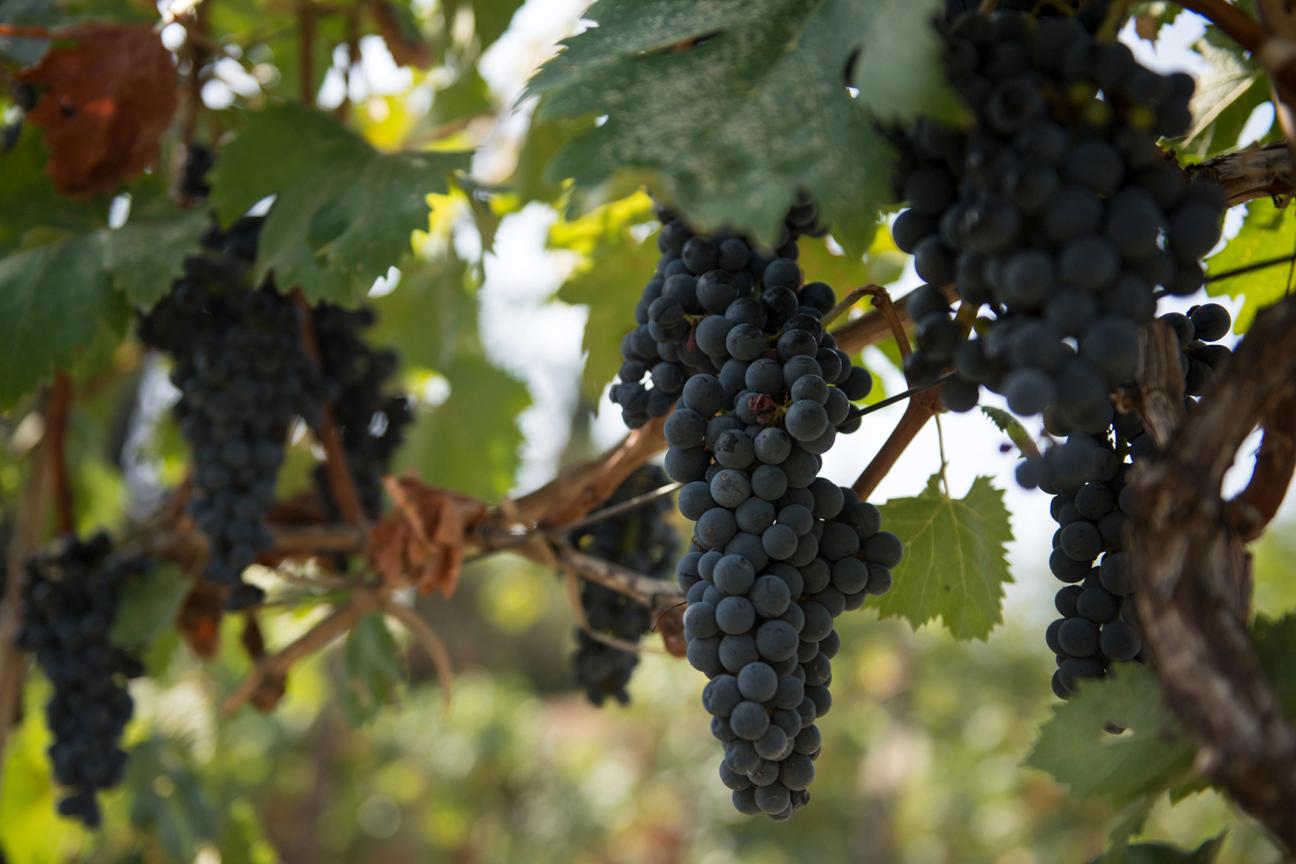 Things to do in Crete